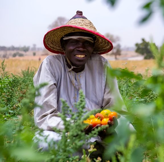 deepbluecommodities.com