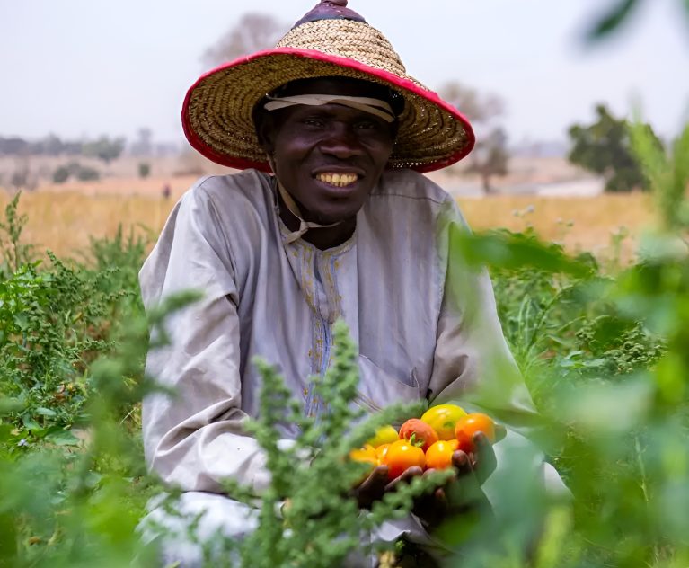 deepbluecommodities.com