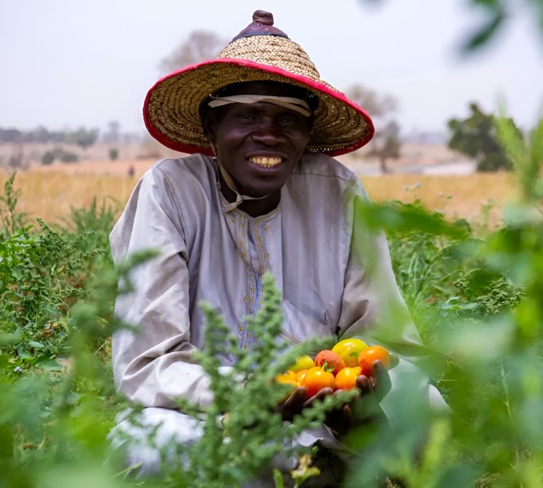 deepbluecommodities.com