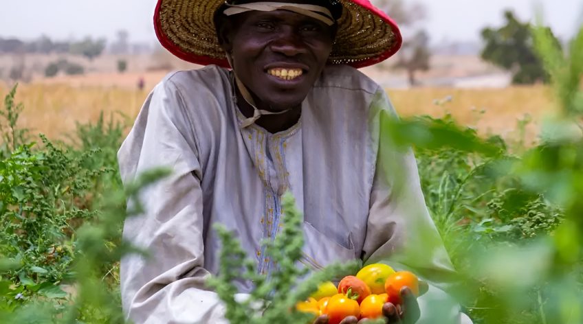 deepbluecommodities.com