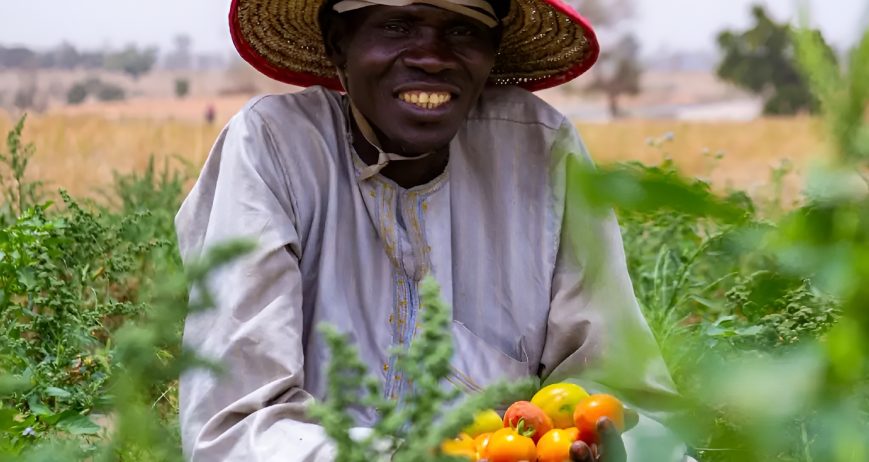 deepbluecommodities.com