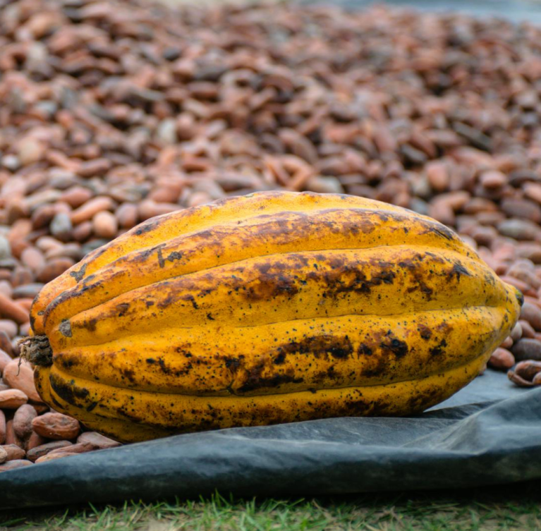 deepbluecommodities.com