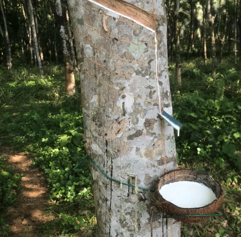 deepbluecommodities.com