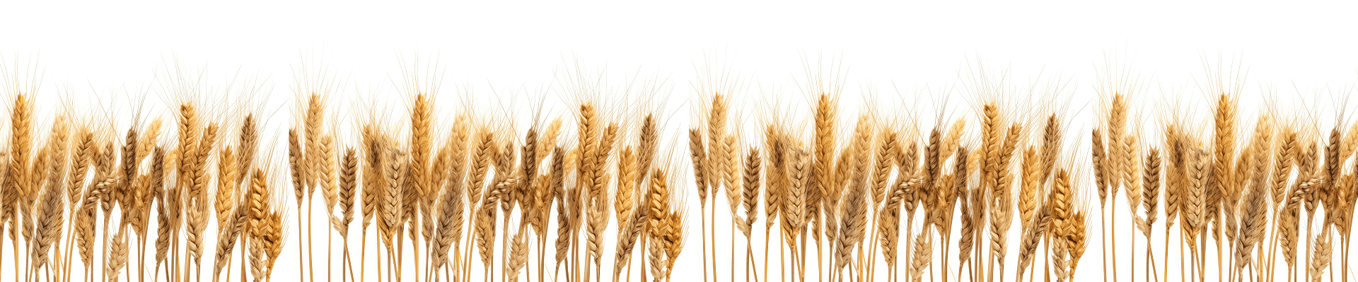 Deep Blue Commodities